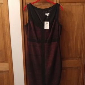 Cache; Sleeveless, Ribbed, Shimmering Black/Dark Red Dress; Sz 10; NWT